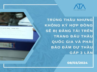 TRÚNG THẦU NHƯNG KHÔNG KÝ HỢP ĐỒNG SẼ BỊ ĐĂNG TẢI TRÊN TRANG ĐẤU THẦU QUỐC GIA VÀ PHẢI BẢO ĐẢM DỰ THẦU GẤP 3 LẦN