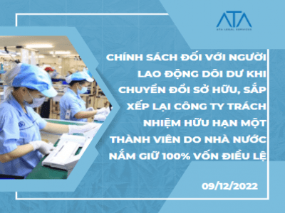 CHÍNH SÁCH ĐỐI VỚI NGƯỜI LAO ĐỘNG DÔI DƯ KHI CHUYỂN ĐỔI SỞ HỮU, SẮP XẾP LẠI CÔNG TY TRÁCH NHIỆM HỮU HẠN MỘT THÀNH VIÊN DO NHÀ NƯỚC NẮM GIỮ 100% VỐN ĐIỀU LỆ