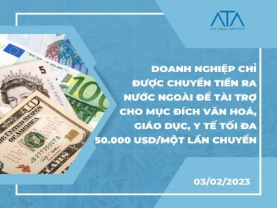 ENTERPRISES CAN ONLY TRANSFER MONEY ABROAD FOR THE PURPOSE OF CULTURAL, EDUCATIONAL AND HEALTHCARE FUNDING WITH A MAXIMUM AMOUNT OF 50.000 USD/TIME